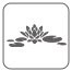 Lotus Pond